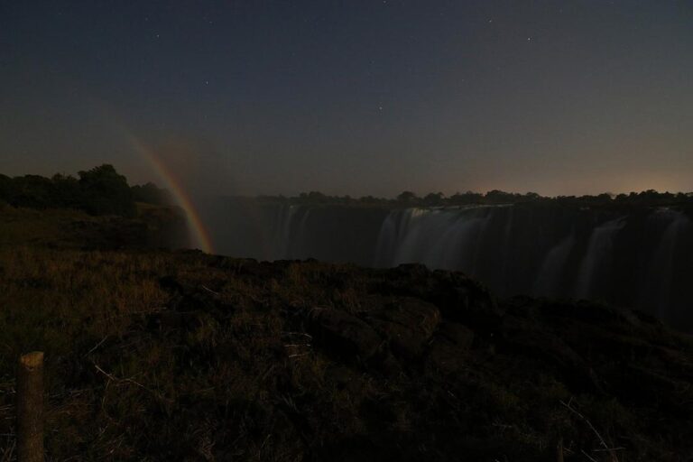 Home 22 Zimbabwe of Eswatini? Praktische keuze voor safariliefhebbers